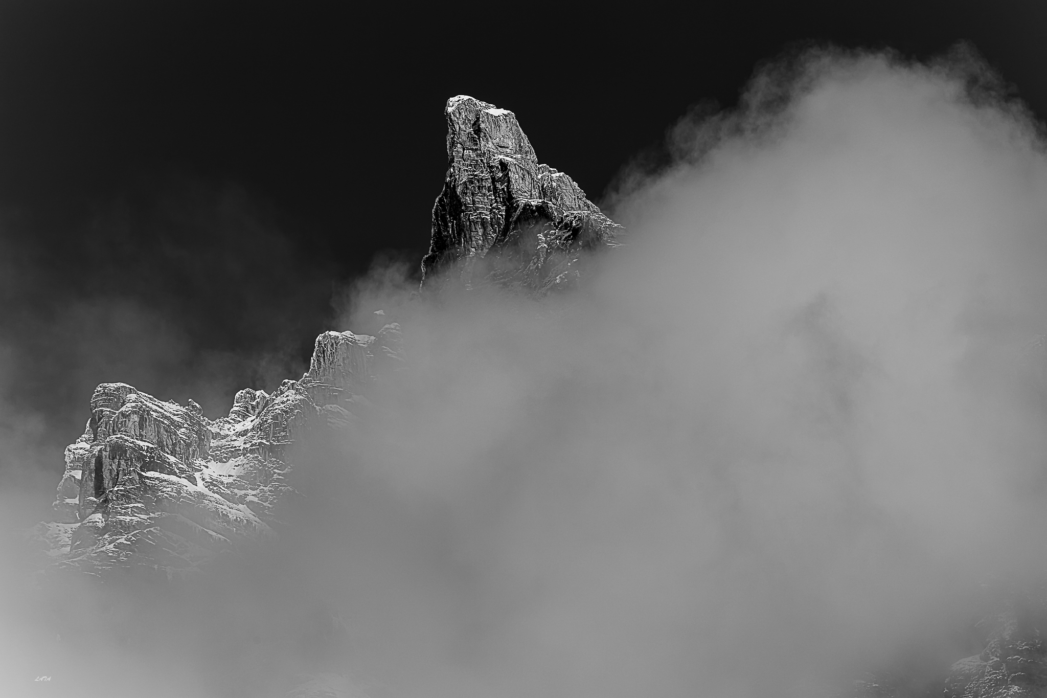Noir & Blanc