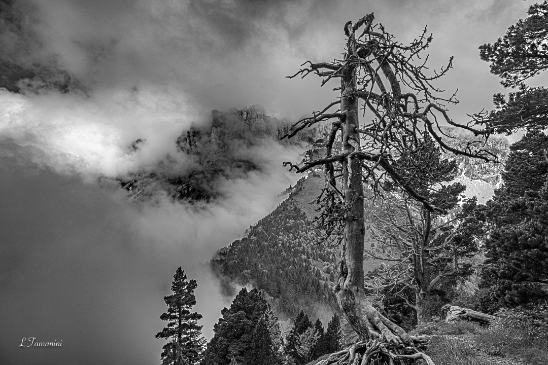 Massif du Vercors 1. 5378-2020