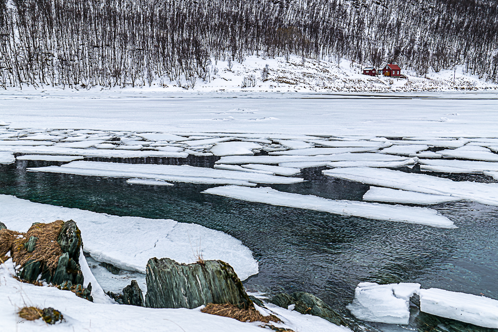 Norvege 20