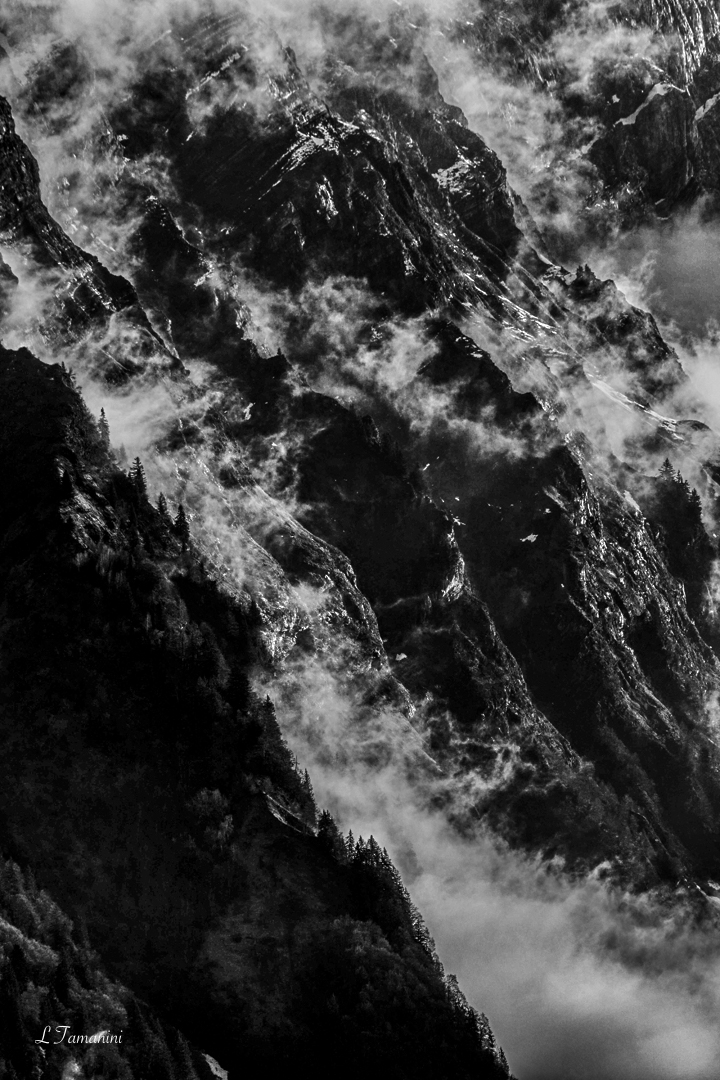 Avalanche brume. Polar 12. 8550-2019