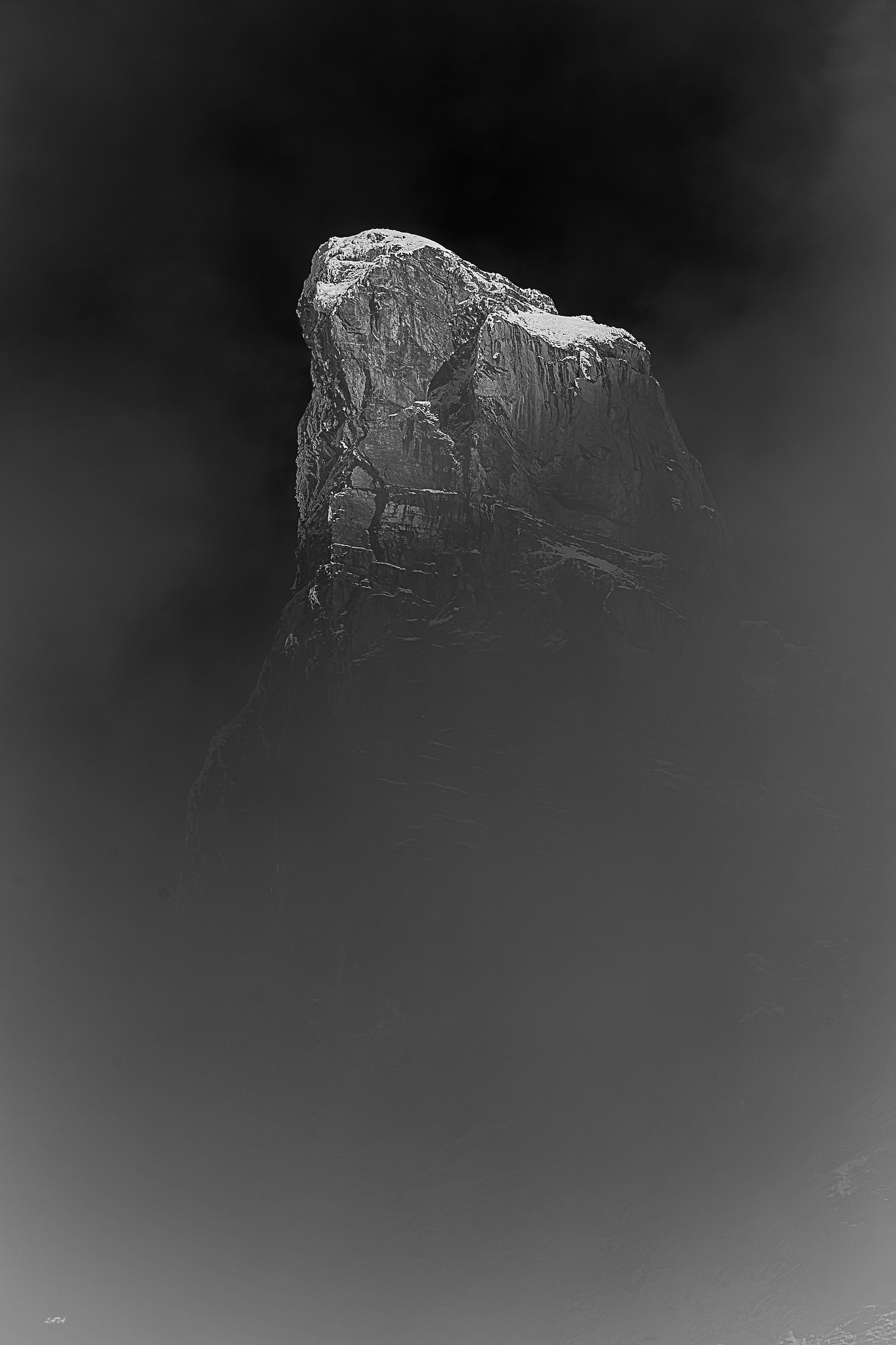 Corne de chamois. Tenneverge 1 N&B