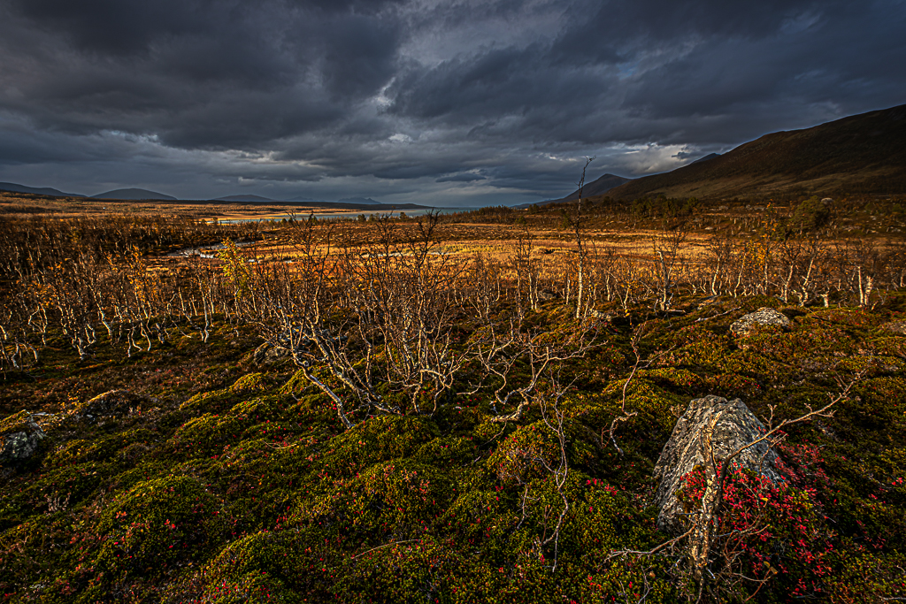 Norvege 10