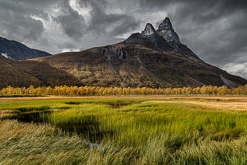 Norvege 9