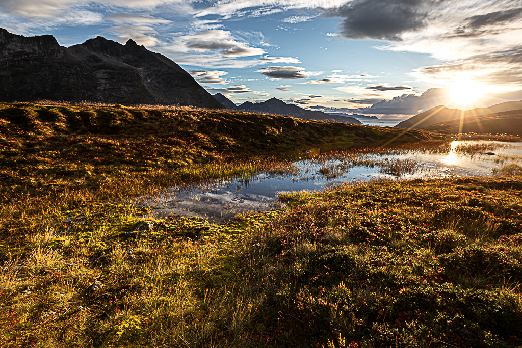 Norvege 14
