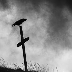 Corbeau/Croix